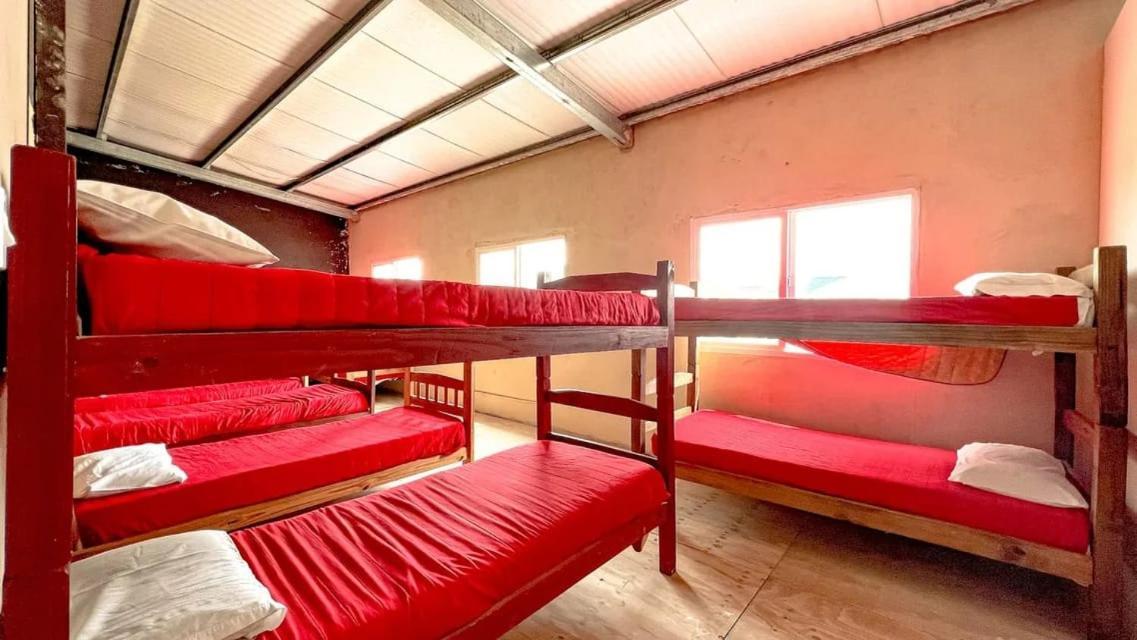 La Maquinita Hostel マル・デル・プラタ エクステリア 写真